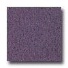 Armstrong Excelon Imperial Texture Tyrian Purple Vinyl Flooring