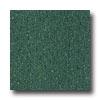 Armstrong Excelon Imperial Texture Basil Green Vinyl Flooirng