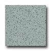 Armstrong Excelon Stonetex Pdemium Slate Green Vinyl Flooring