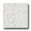 Armstrong Excelon Stonetex Premium Stone White Vinyl Flooring