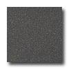 Armstrong Medintech Homogeneous Black Granite Vinyl Flooring