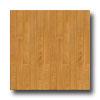 Congoleum Forum Plank - Danbury Oak Nautral Oak Vinyl Flooring