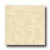 Congoleum Xclusive - Amazon Slate Multi Almond Bisque Vinyl Flooring