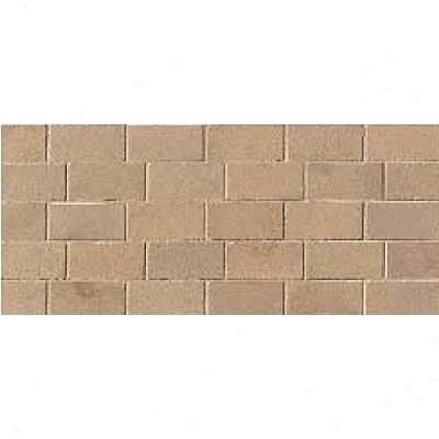 Crossville Buenos Aires Mood Mosaic 12 X 24 Combined Pampa Tile & Stone