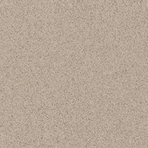 Daltile Porcealto (unpolished) 8 X 8 Grigio Granite (graniti) Cd40 881p