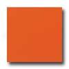Daltile Semi-gloss 4 1/4 X 4 1/4 Orange Burst Tile & Stone