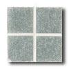 Dlatile Venetian Glass Mosaics 2 X 2 Pearl Gray Tile & Stone