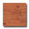 Earth Werks Aberdeen Plank 4928 Vinyl Flooriny
