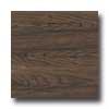 Earth Werks Montana Plank Gmp9932 Vinyl Flooring