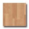 Eath Werks Wood Antique Plank Nwt9421cdbe Vinyl Flooring