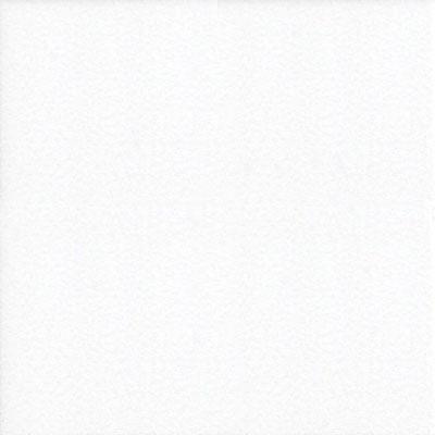 Elida Ceramica White Ice 32 X 32 White Ice Tile & Stone