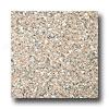 Emser Tile Granite 12 X 12 Panetela Brown Tile & Stone