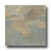 Florida Tile Pietra Art Tumbled Slate 4 X 4 African Gold Tile & Stone