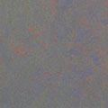Forbo Colorful Greys 3506 Vinyl Flooring