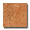 Forbo Marmoleum Click Tile Sahara Vinyl Flooring
