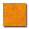 Forbo Marmoleum Click Tile Golden Sunset Vinyl Flooring
