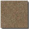 Fritztie Rajnbow Marble Rb2200 Spice Brown Tile & Stone