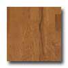 Harris-tarkett Amherst Beveled 3 Vintage Hickory Honeytone Hardwood Flooring