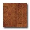 Harris-tarkett Artisan Hand Scraped Cherry Spice Hardwood Flooring