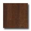 Harris-tarkett Artisan Profiles American Cherry Cognac Hardwood Flooring