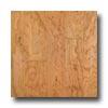 Harris-tarkett Artisan Sculptures American Cherry Natural Hardwood Flooring