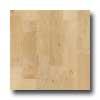 Harris-tarkett Foundations Maple Natural Hardwood Flooring