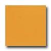 Interceramic Colours 8 X 8 Orange Sunset Tile & Stone