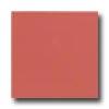 Interceramic Colours 8 X 8 Red Coral Tile & Rock