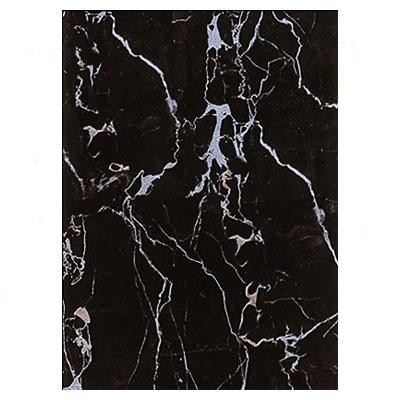 Intdrceramic Expressions Wall 10 X 16 Celebrity Tile & Stone