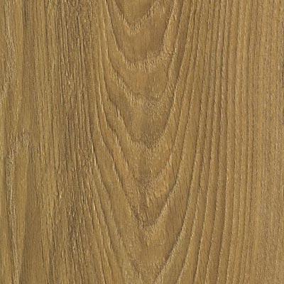 Kaindl Accent Collection Glossy Oak Natural Laminate Flooring