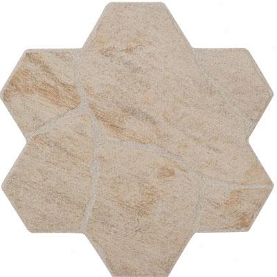 Megatrade Corp. Starstone Hexagon 16 X 16 Coral Tile & Stone