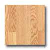 Pergo Everyday Golden Oak Laminate Flooring