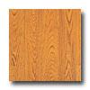 Qjick-step Eligna Uniclic Long Plank 8mm Canyon Oak Laminate Flooring