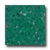 Santa Regina Accent 24 X 24 (antique) Emerald Terrazzo Tile