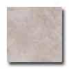 Tesoro Montebeolo 10 X 13 Marfil Tile & Stone