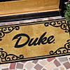 The Memory Company Duke Duke Area Rugs