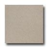 United States Ceramic Tile Color Cllection Floor Speckle Beige Speckle Tile & Stone