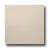 United States Ceramic Tile Luxor 12 X 12 Polished Ivory Tile & Stone