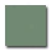 United States Ceramic Tile Color Collection 4 X 4 Bright Glaze Rainforest Tile & Stone