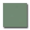 United States Ceramic Tile Color Collection 6 X 6 Matte Glaze Rainforest Tile & Stone