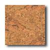 Wicanders Series 2000 Origlnals Accent Cork Flooring