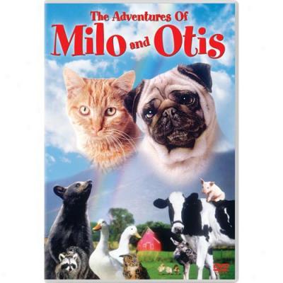 Adventures Of Milo And Otis (full Frame)