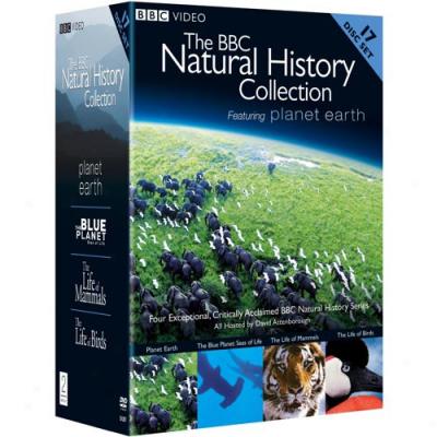 Bbc Natural History Collectin, The (widescreen)