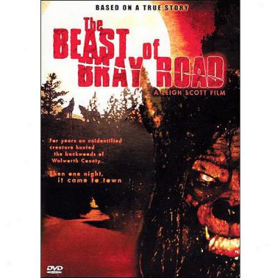 Beast Of Bray Road (widescreen)