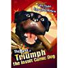 Best Of Triumph: The Insult Comic Dog, The (full Frame)
