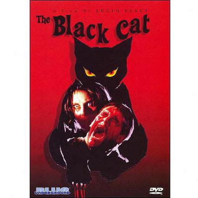 Black Cat (widescreen)