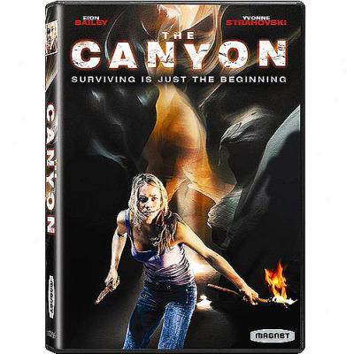 Canyon (widescreen)