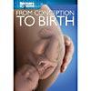 Discovery Channel: From Conception To Birth