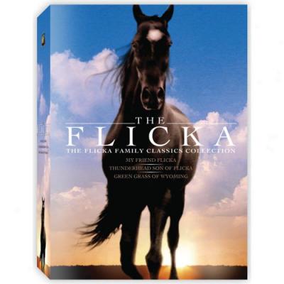 Flicka Giftset Collection, The (full Frame)