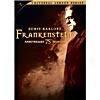 Frankenstein 7th Anniversary Issue  (full Frame)